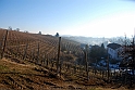 S. Damiano d'Asti - Ultima neve e brina_029